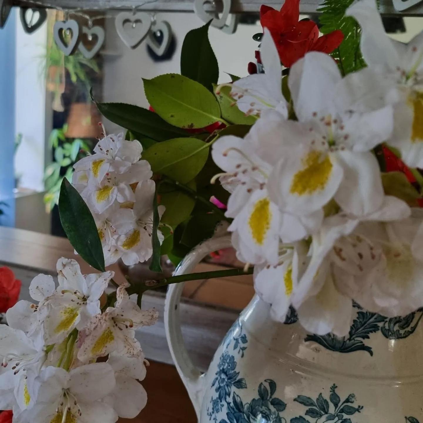 Nuances Bretonnes Bed & Breakfast Elliant Exterior foto